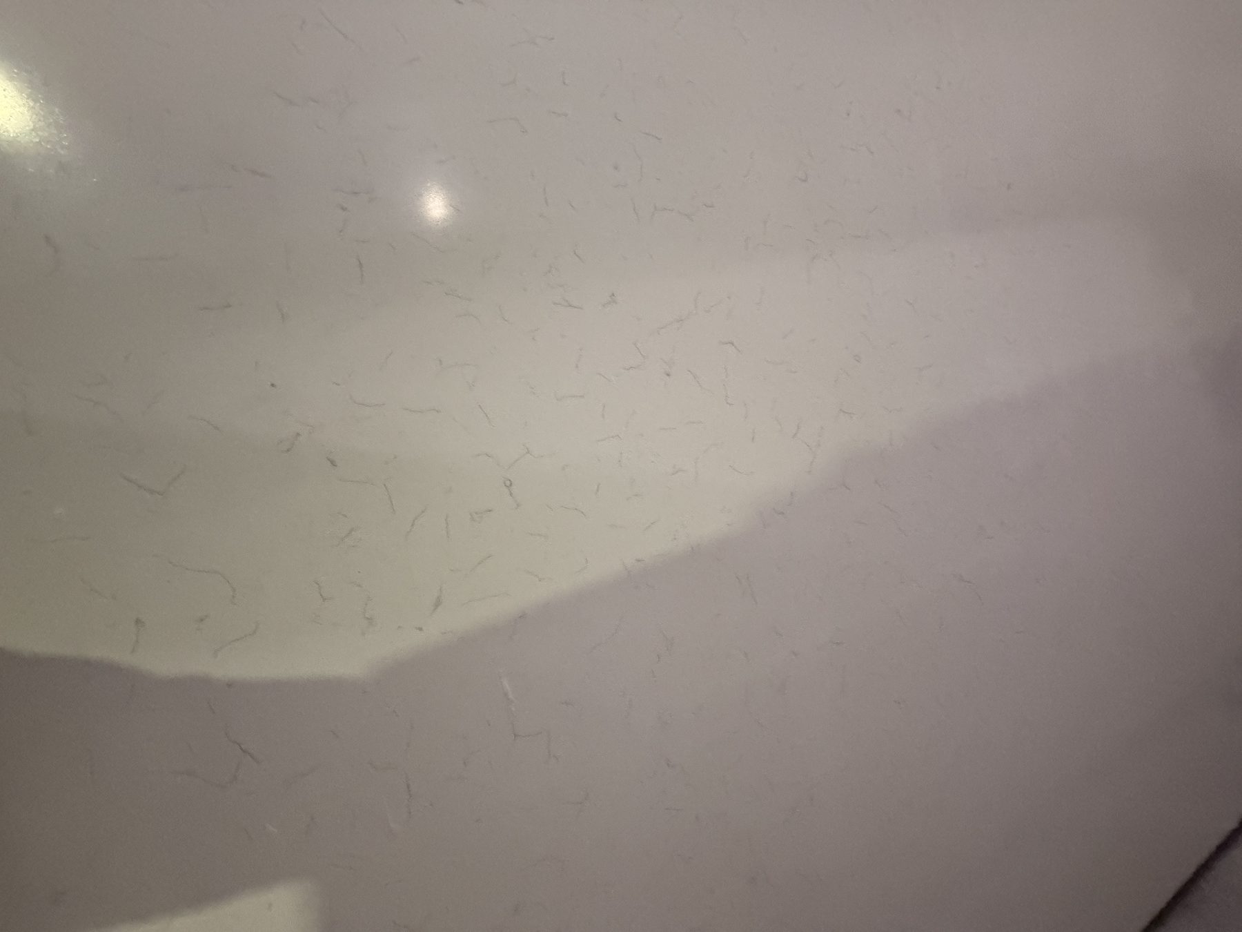 Slab edge profile detail
